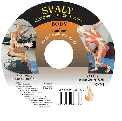 svaly – shop.spiralstabilization.com
