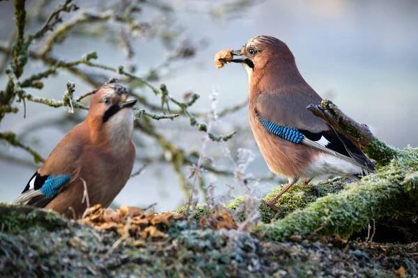 Příroda - Petr Vokurek Photography