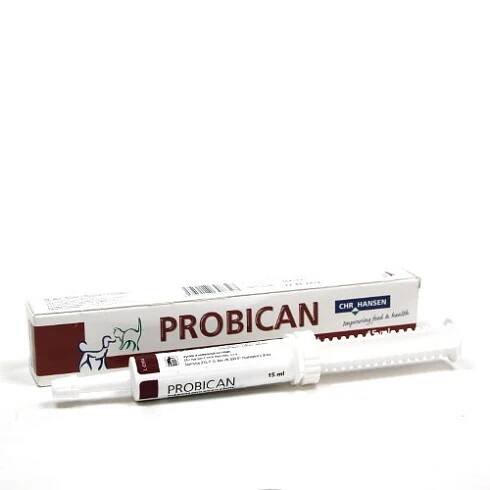 Probican pasta 15ml (vhodný doplněk při průjmu, antibiotikách, ...)