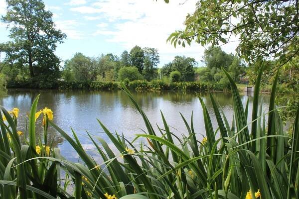 Rozkvetlé arboretum v Novém Dvoře o víkendu přilákalo tisíce návštěvníků