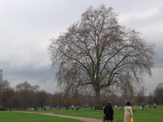 Hyde Park (Londýn)