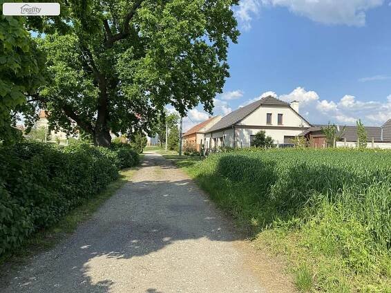 Prodej Pozemek, Brod nad Dyjí, okres Břeclav