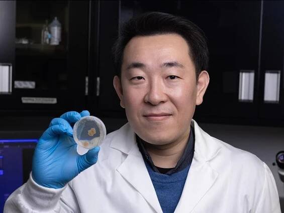 Assistant Professor Yan Wang holding fungi slide
