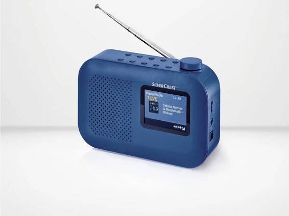 Rádio DAB+ / UKW SDRF 10 B1