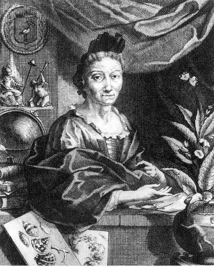 Soubor:Merian Portrait.jpg – Wikipedie