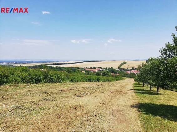 Prodej Pozemek, Radějov, okres Hodonín