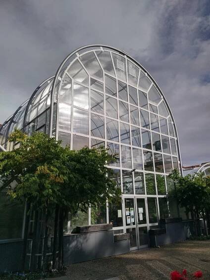 Botanická zahrada Přírodovědecké fakulty Masarykovy univerzity foto 5