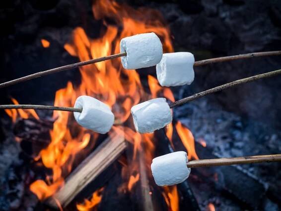 Vyzkoušejte marshmallows bonbony na grilu