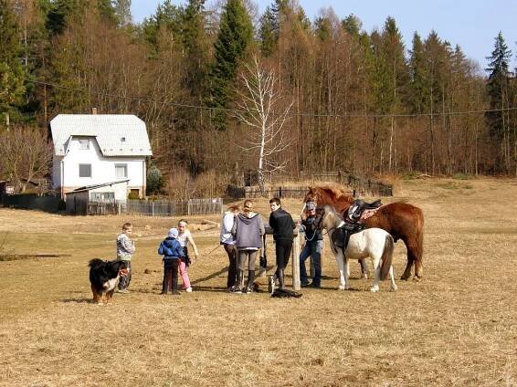 Děti se zvířaty na louce u lesa (Children with animals on a meadow near the forest)