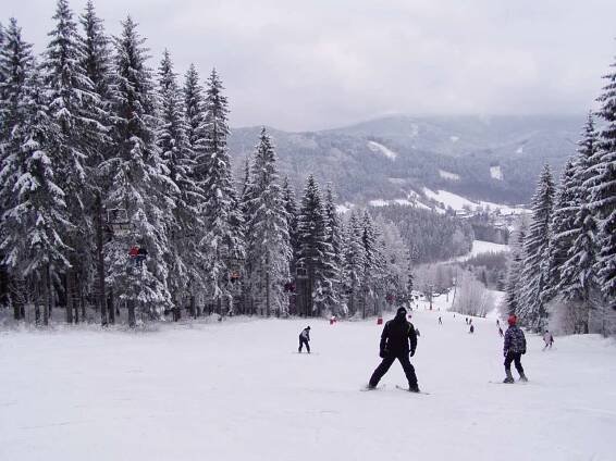 Lyžování v Jeseníkách, Lipová-lázně | SKI CENTRUM Miroslav