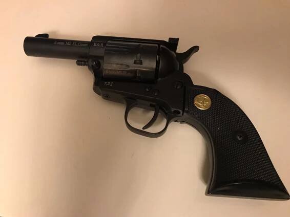 Flobertka Chiappa 1873