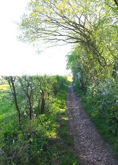 A walk-a-week in lockdown. – Inspiral London