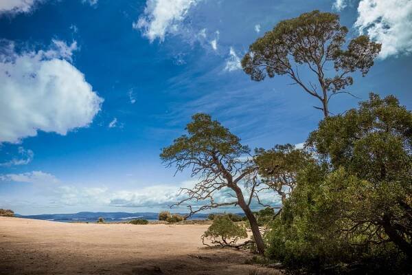 TASMANIA / NSW / VICTORIA – AUSTRALIA – 2019