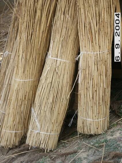 Reed for roofs