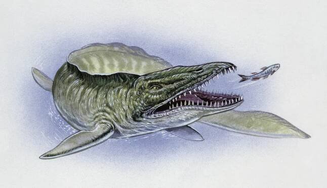 Geologists accidentally found a monstrous mosasaur fossil in Mississippi mud