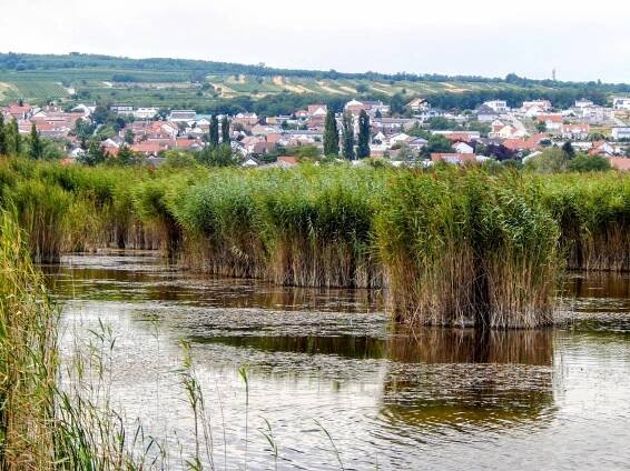 Moerbisch Am See photo