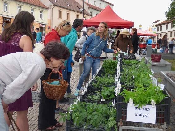 Šlágry farmářských trhů: brambory, koláče a bylinky