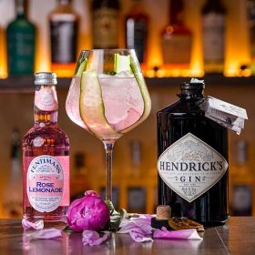 hendricks_gin_tonic