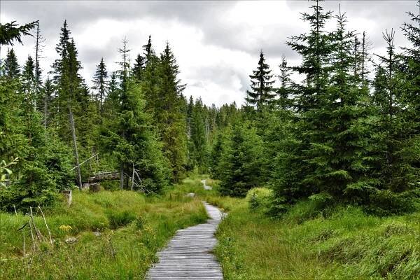 Modrava – Cikánská slať – Březník – Střípky ze zápisníku