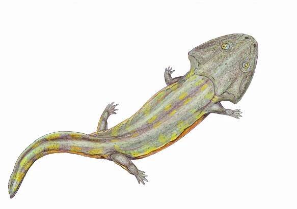 Chigutisauridae