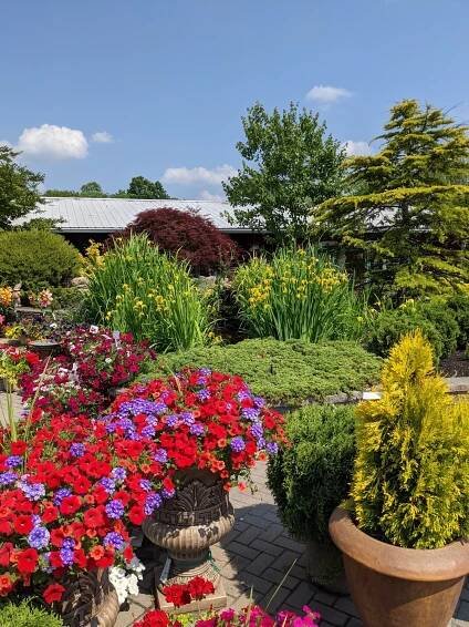 General 6 — Eric's Nursey and Landscaping Services