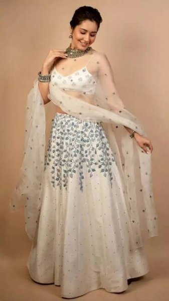 Raashii Khanna glows with elegance in timeless ethnicwear