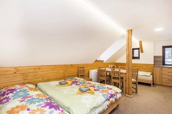 Apartmá č. 1 - Prezidentské Apartmán s 1 ložnicí - Apartmány Na Salaši