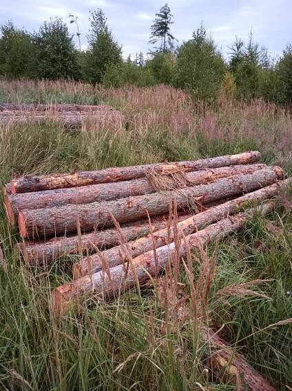 ForesTrade: Prodejní jednotka číslo 72023 - 161