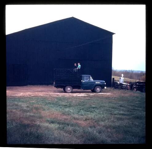 Two kids on farm