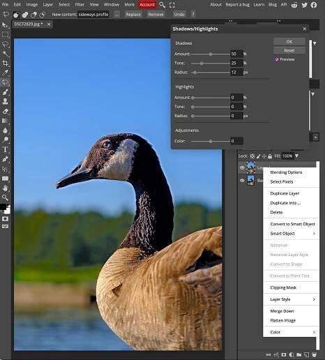 Photopea, our pick for the best free Photoshop alternatives for using custom brushes