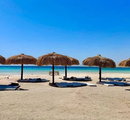 Výlet na pláž Abu Dabbab z Marsa Alam