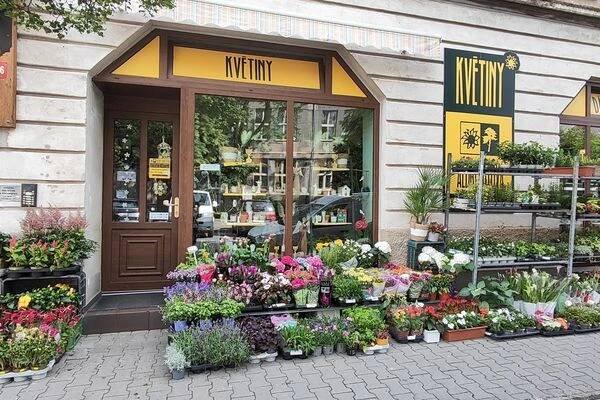 KVĚTINY ALBRECHTOVÁ foto 1