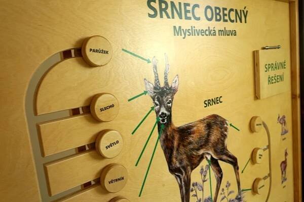 Myslivecká Mluva - Srnec | Lesnisvet.cz