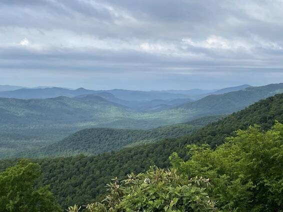 Blue Ridge Dreams - Rebecca Parkinson