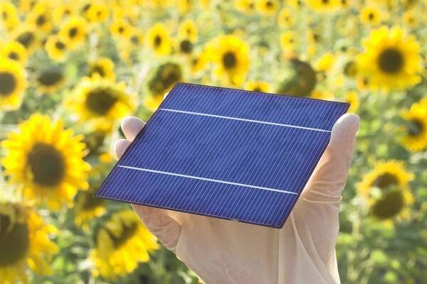 Papež představil plán na využití solární energie ve Vatikánu - Církev.cz