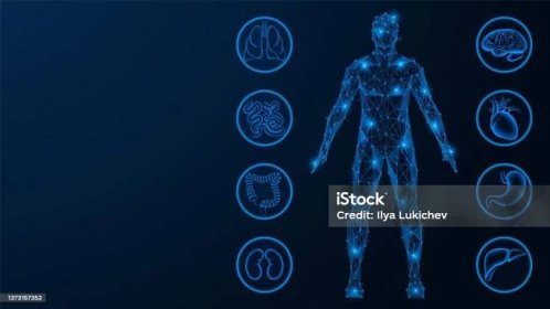Stock ilustrace Vnitřní Orgány – stáhnout obrázek nyní - Lidské tělo, Technologie - Věda a technika, Silueta - Podsvícení