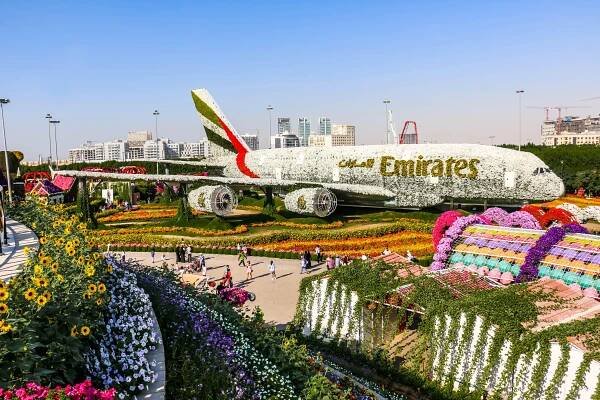Miracle garden