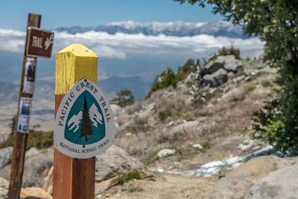 Close-up of a yellow wooden post with a Pacific Crest Trail marker, featuring two trees. Nearby, a nogo sign warns hikers as the dirt trail winds through a rocky landscape towards distant snowy mountains under a cloudy sky. A partially visible trail sign provides further details.