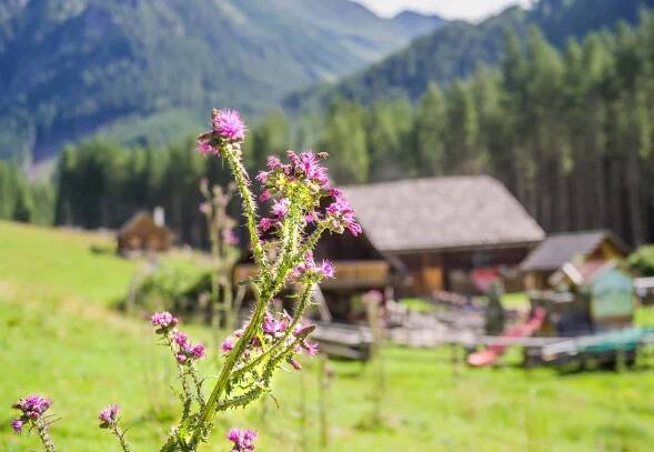 Urlaub im Feriendorf Edelweiss in Fanning im Salzburger Lungau