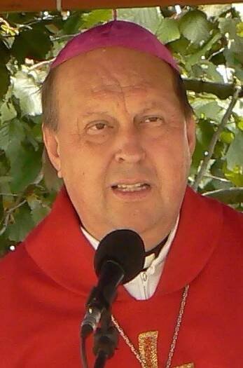 Soubor:Bishop Pavel Posád.jpg