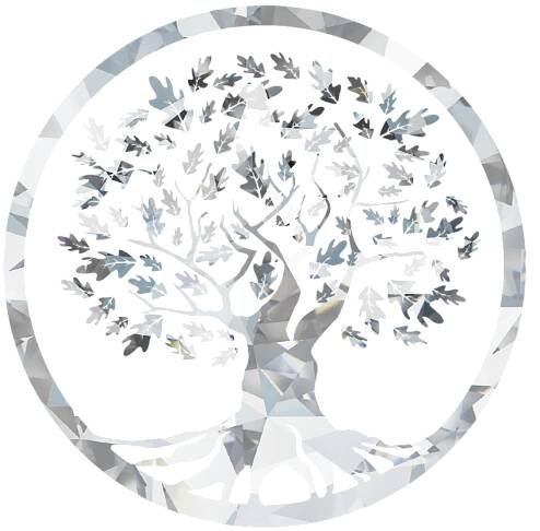Icon für Diamant und Diamant Plus FirmenpatInnen