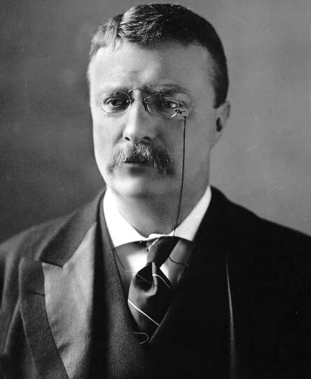 Theodore “Teddy” Roosevelt (1858-1919) - Find a...