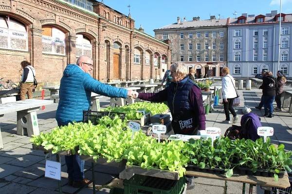 Tržnice v Olomouci po zimě ožívá. Co tam teď koupíte a za kolik?