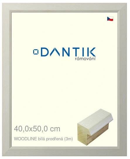 Rámeček na jednu fotografii DANTIK 50 x 40 cm