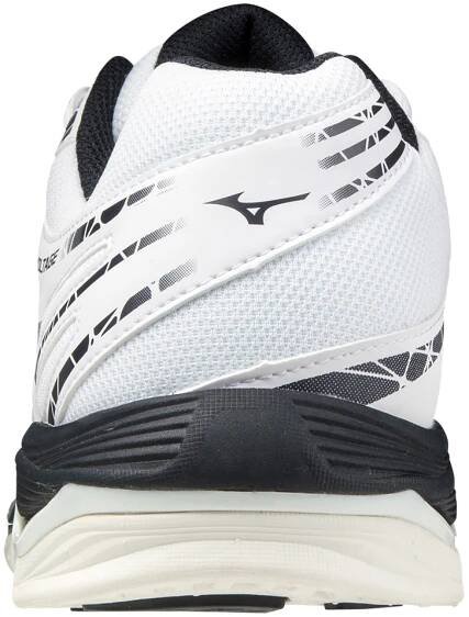 Pánská obuv - Sálovky Mizuno | Mizuno Store 