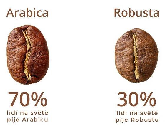 Arabica vs. Robusta aneb poznáte rozdíl? - Chutná káva