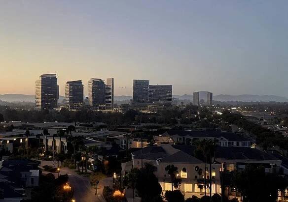 bee removal Irvine