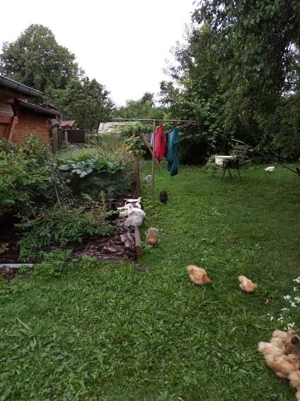 Medová hospůdka foto 2