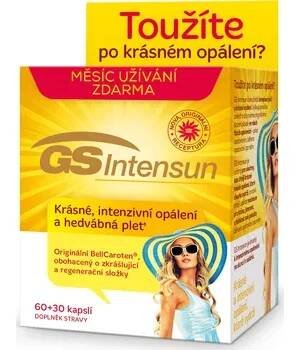 GS Intensun