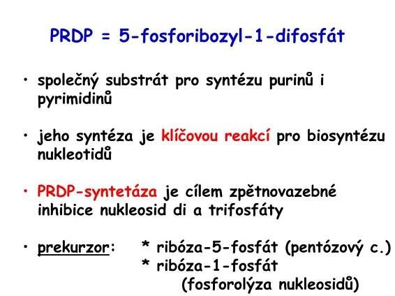 PPT - Metabolismus purinů a pyrimidinů PowerPoint Presentation, free download - ID:1451525